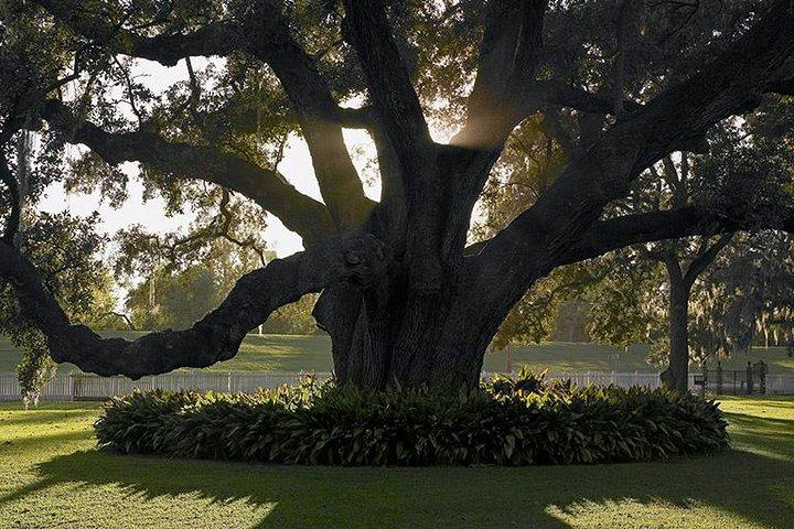 Destrehan Plantation Tour