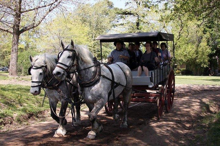Privat GAUCHO TOUR - FULL DAY TRIP Guidad i EN, SPA eller FR - Argentina