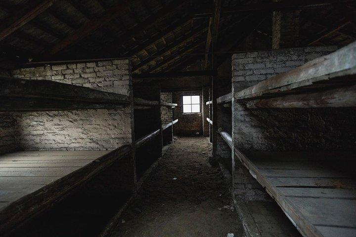 Udflugt i Auschwitz Birkenau