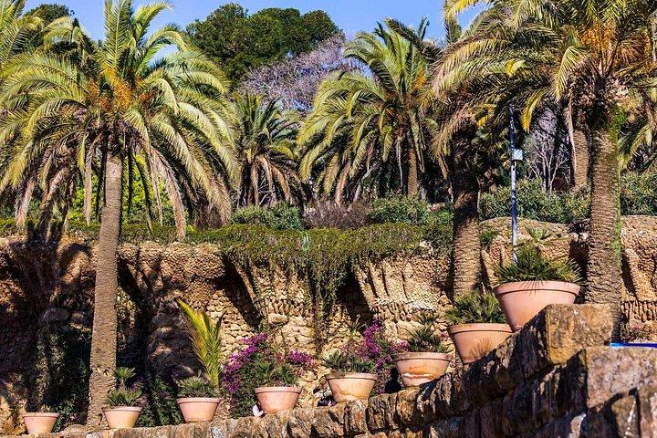 バルセロナ：優先入場ガウディのグエル公園ガイド付きツアー