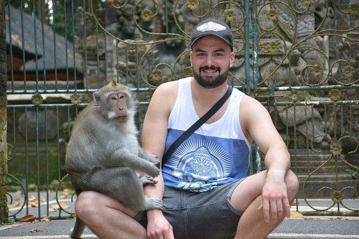 Bali Private Custom Tour: Ubud, Waterfalls & More