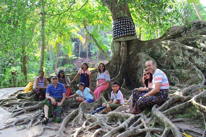 Bali Private Custom Tour: Ubud, Waterfalls & More