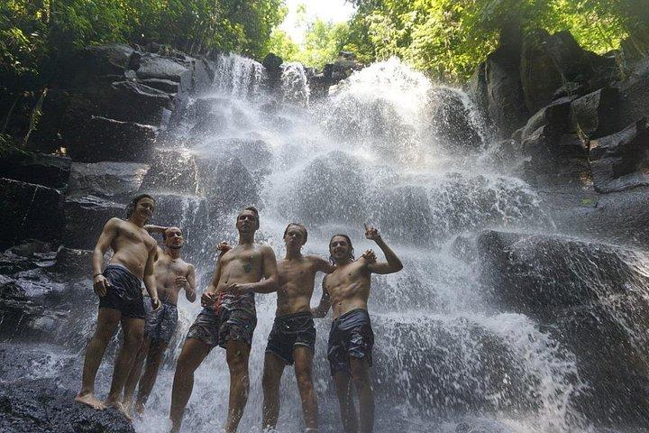 Bali Private Custom Tour: Ubud, Waterfalls & More