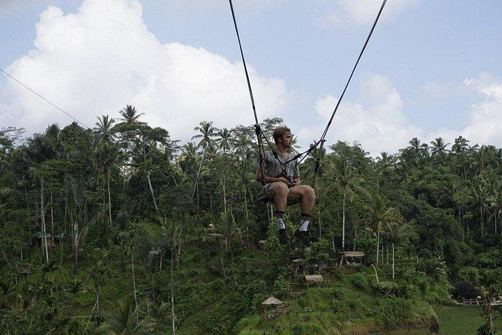 Bali Private Custom Tour: Ubud, Waterfalls & More