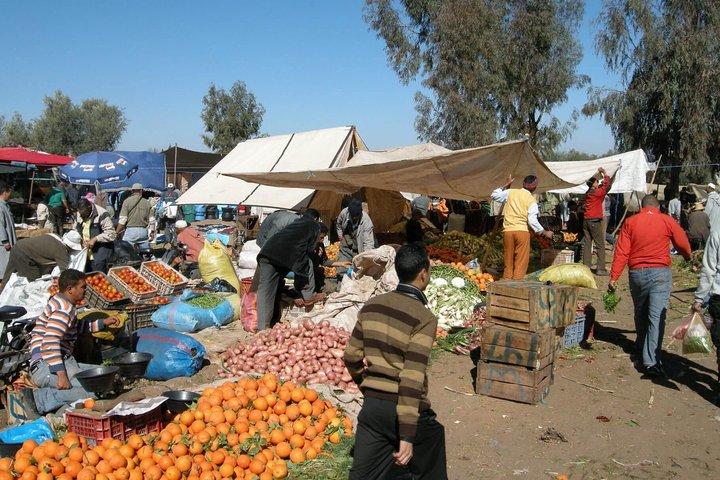 Marrakech: Atlas Mountains Day Trip, Discover Berber Country