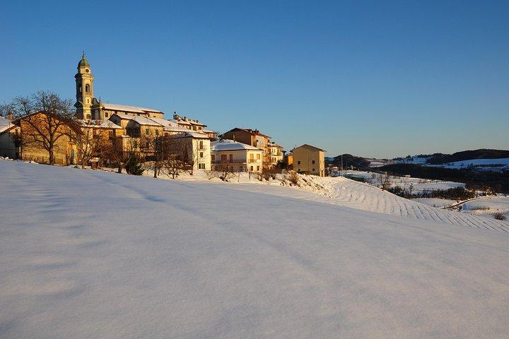 Private Tour ab Turin: Ganztägige Region Langhe mit ihren Farben und Aromen