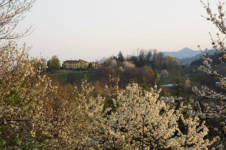 Private Tour ab Turin: Ganztägige Region Langhe mit ihren Farben und Aromen