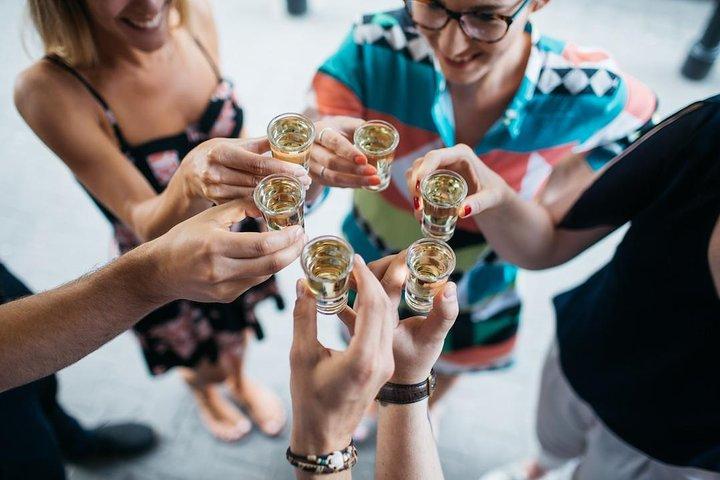 Experiencia de tour de vodka polaca de lujo en Cracovia