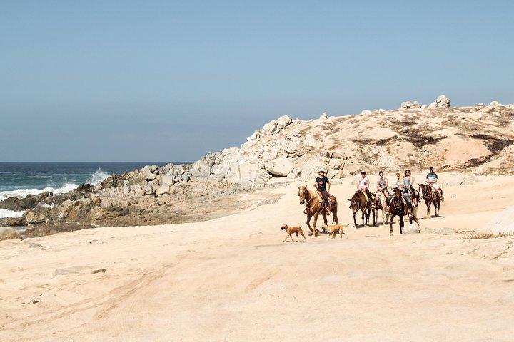 Reittour in Cabo San Lucas