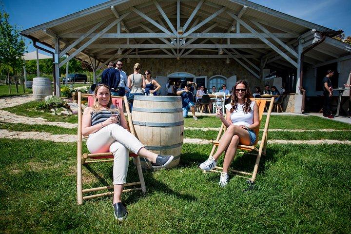 Balatonsjön Heldags privat vintur