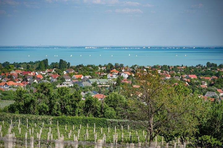 Balatonsjön Heldags privat vintur