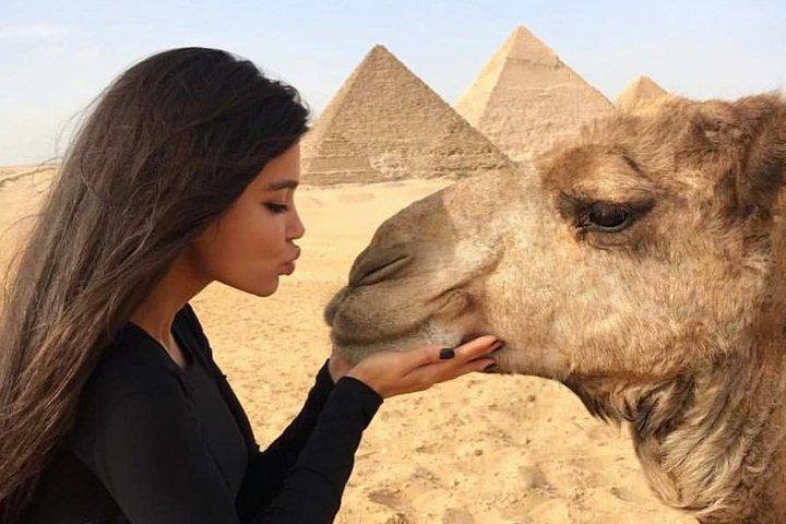 Halve dag privétour naar Giza Pyramids Sphinx