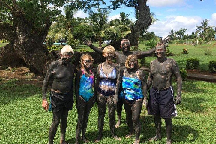 Sabeto Mud Baths og Garden of the Sleeping Giant Tour