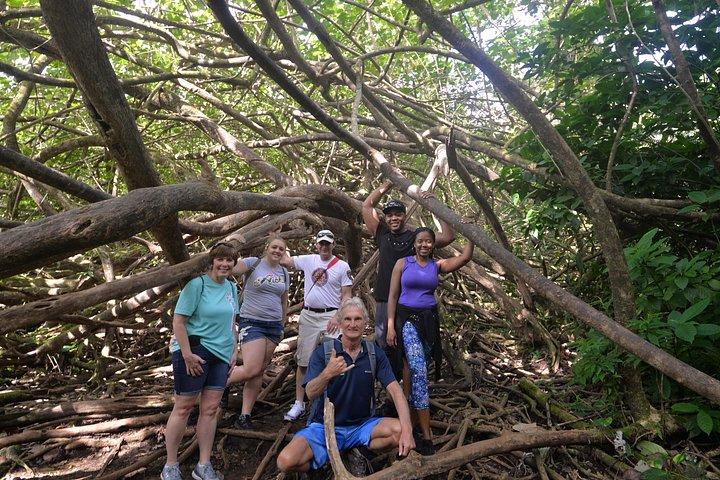 Hawaiian Waterfall Hike