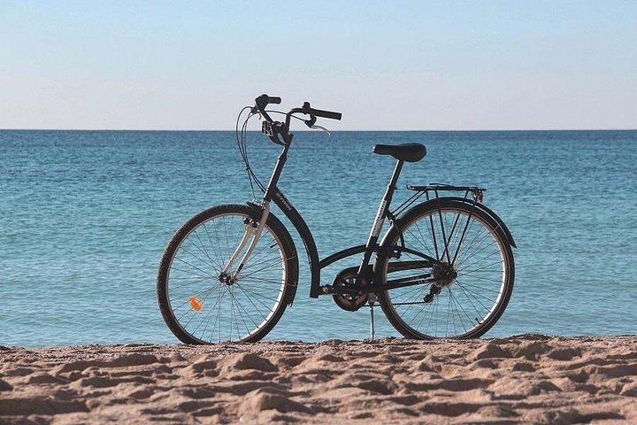 Palma de Mallorca Shore Excursion Bike Tour (Transfer Included)