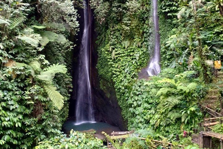 Solo or Group Tour - 10 Hours, 5 Persons Max