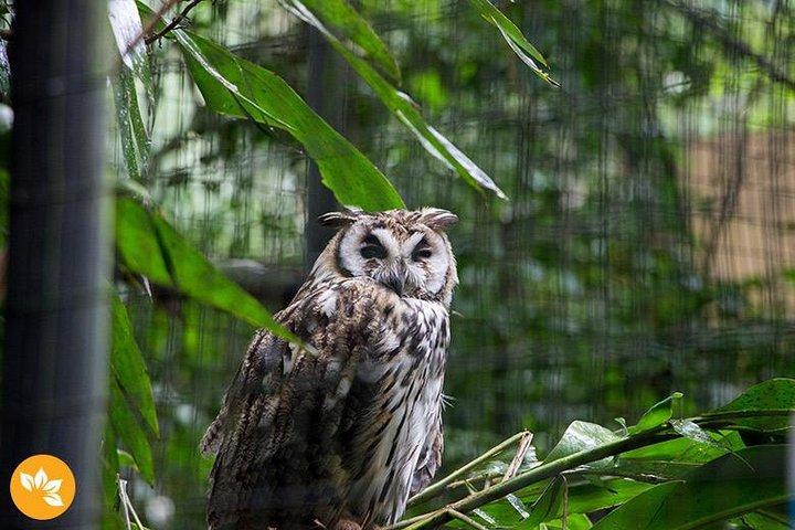 Flughafen Cataratas IGU Pick-Up & Iguassu Falls brasilianischer Side & Bird Park