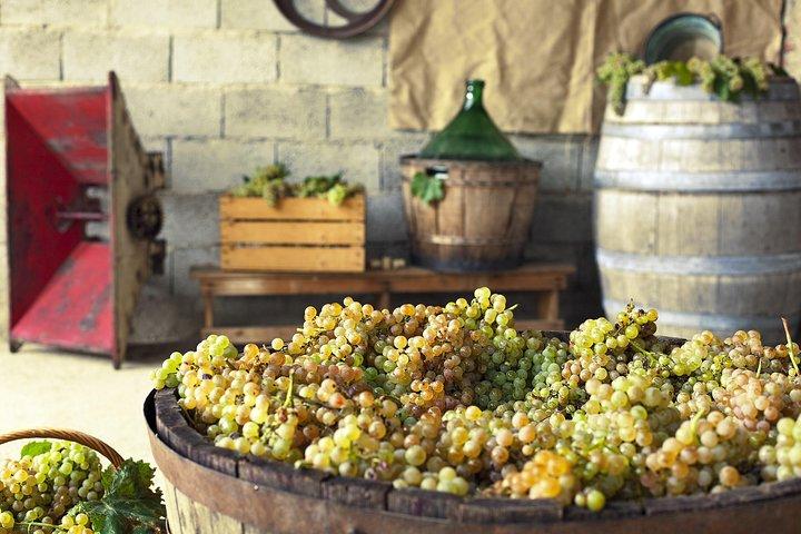 Privé Druiven stampen in Chianti vanuit Florence