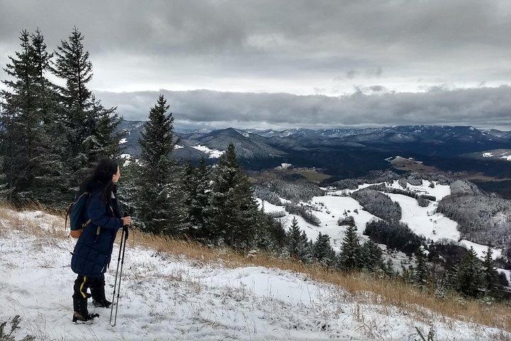 4-Hour Private Alpine Great George at High Wall Mountain from Vienna