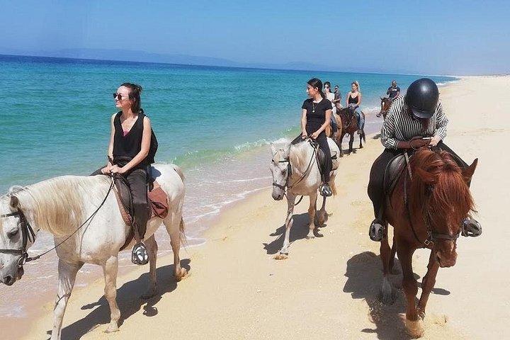Horse Riding on the Beach Tour