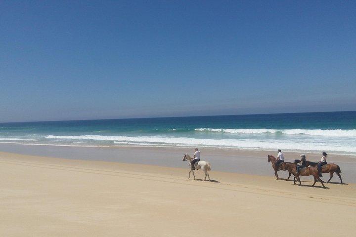 Horse Riding on the Beach Tour