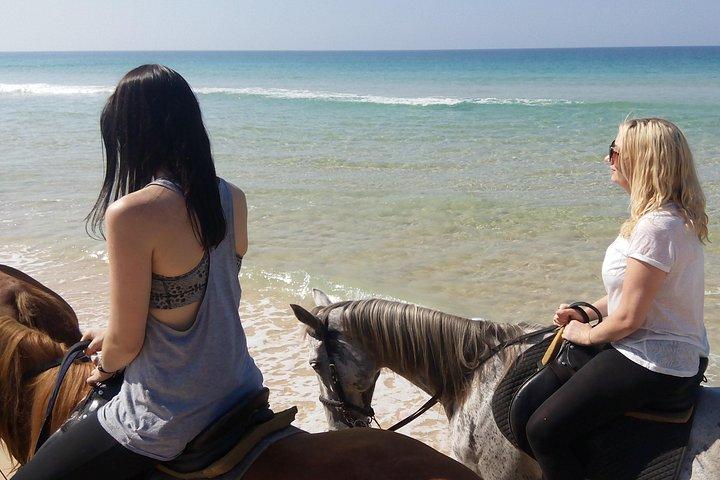 Horse Riding on the Beach Tour