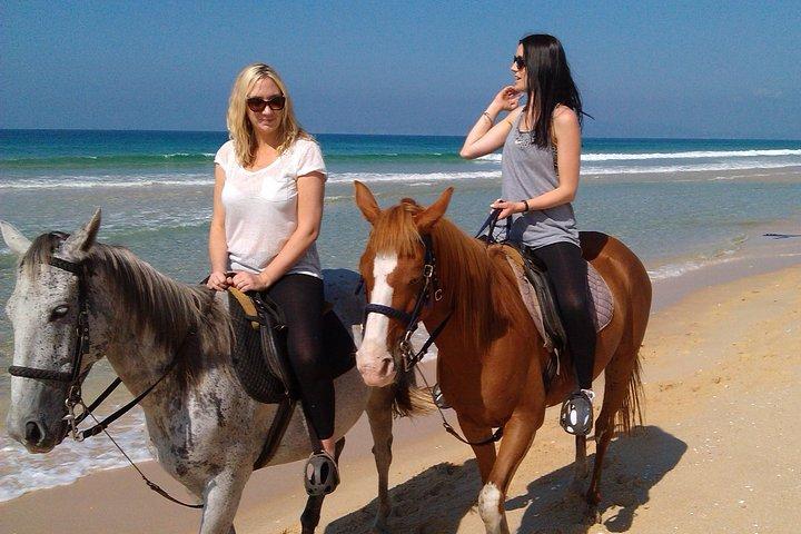 Horse Riding on the Beach Tour