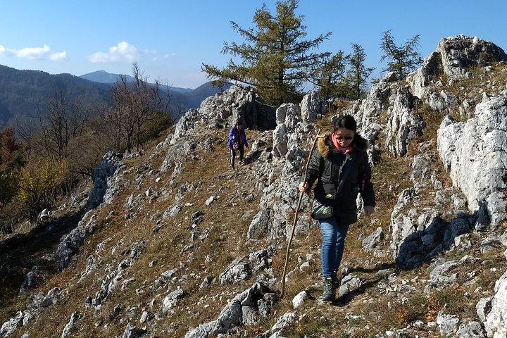 4時間の高山ハイキングツアー「プレアルプスのマッターホルン」