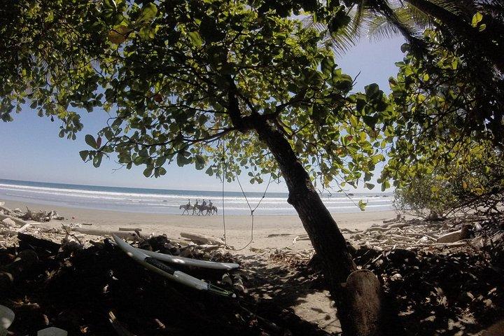Half day surf and adventure in Montezuma