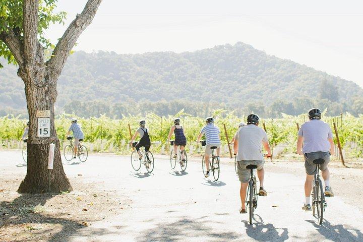 Half-Day Napa Winery E-Bike Tour