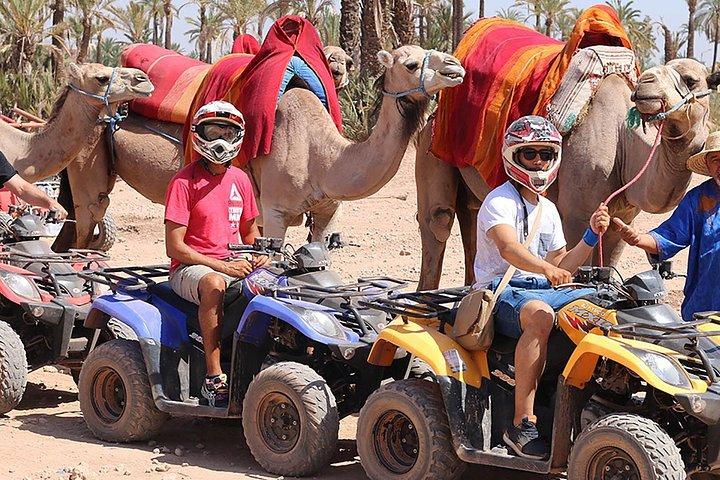 トップアクティビティー：マラケシュからアガフェイ砂漠またはパームグローブへのクワッドバイクツアー