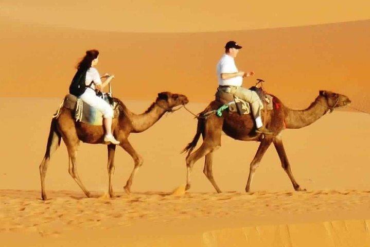 Abends Wüstensafari mit BBQ Dinner & 7 Live Shows