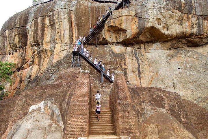 Privat dagstur til Sigiriya, hule og nationalparksafaritur