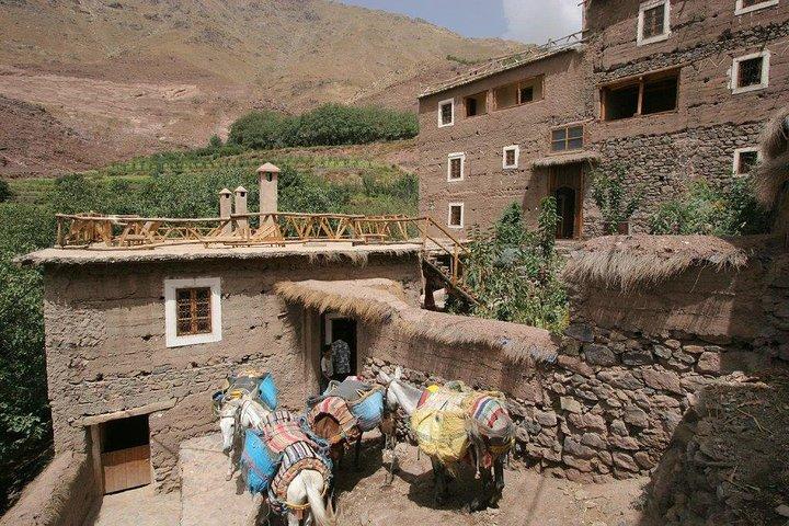 Dagstur från Atlasbergen från Marrakech och kameltur
