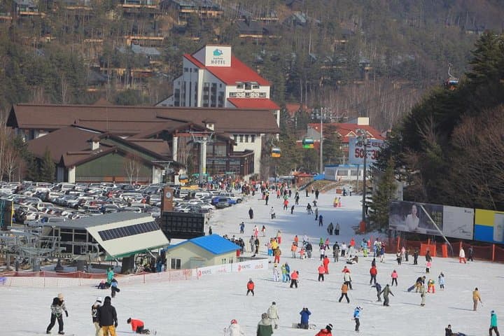 [Premium Private Ski Tour] Pyeongchang Olympic Site (Private Ski Lesson)