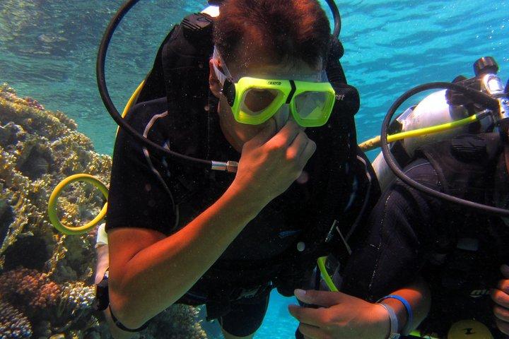 Intro Diving and Snorkeling day trip