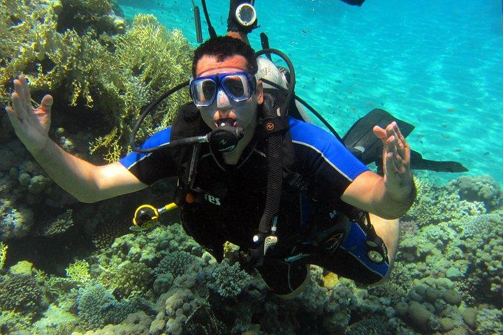 Intro Diving and Snorkeling Day Trip