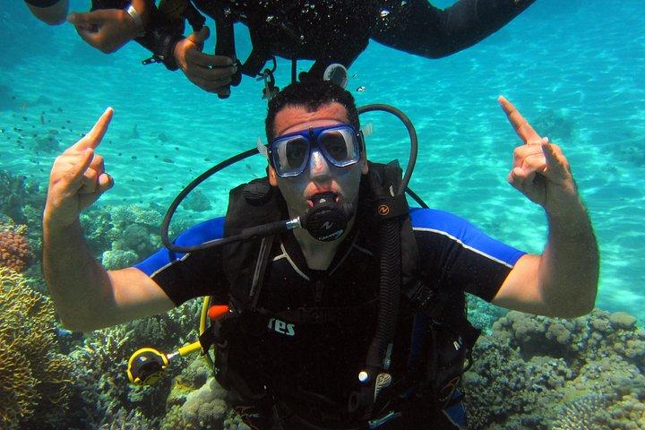 Intro Diving and Snorkeling Day Trip