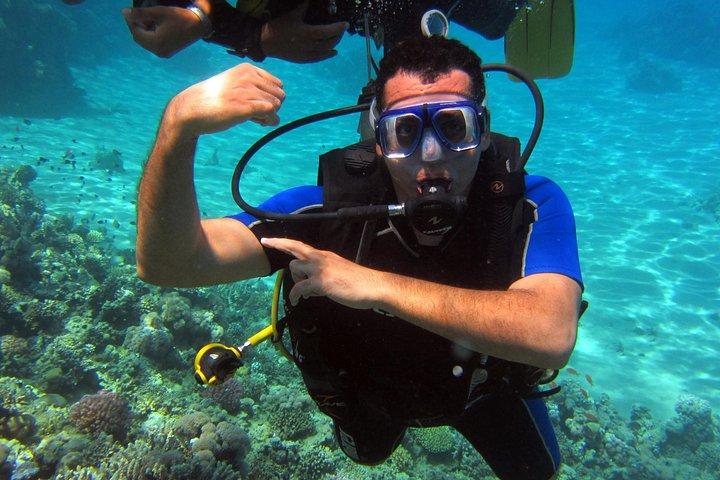 Intro Diving and Snorkeling Day Trip