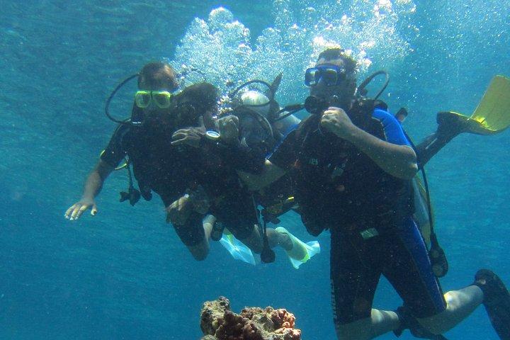 Intro Diving and Snorkeling Day Trip