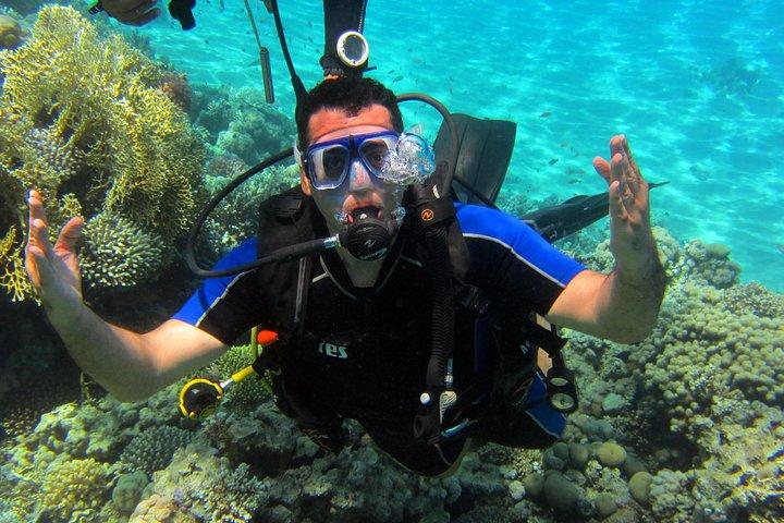 Intro Diving and Snorkeling Day Trip