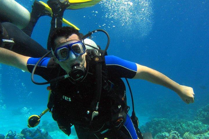 Intro Diving and Snorkeling Day Trip