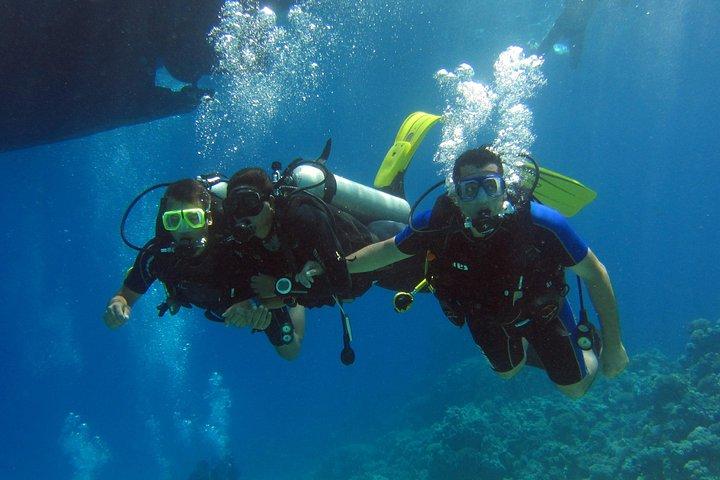 Intro Diving and Snorkeling Day Trip