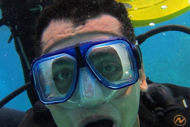 Intro Diving and Snorkeling Day Trip