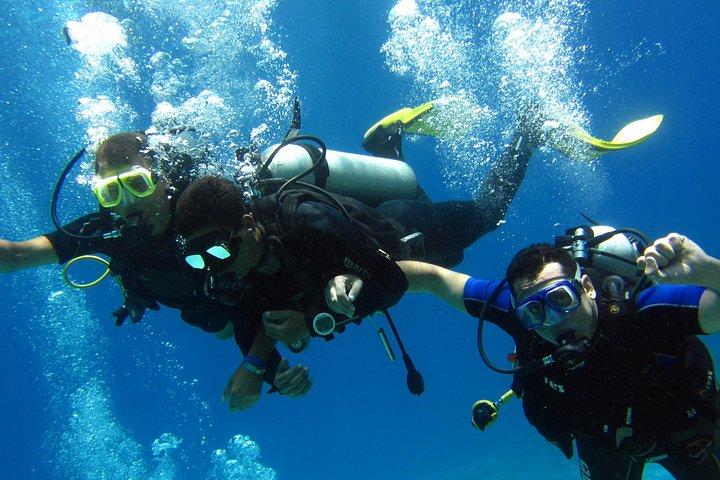 Intro Diving and Snorkeling Day Trip