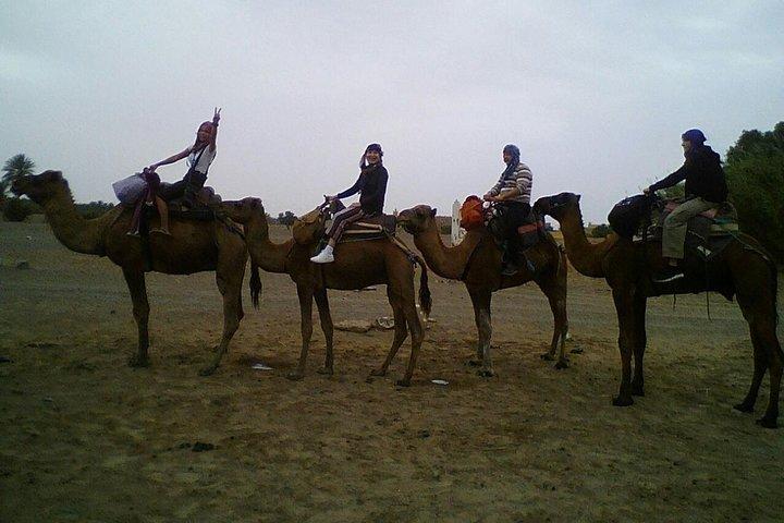 Zagora Desert Night Excursion from Marrakech