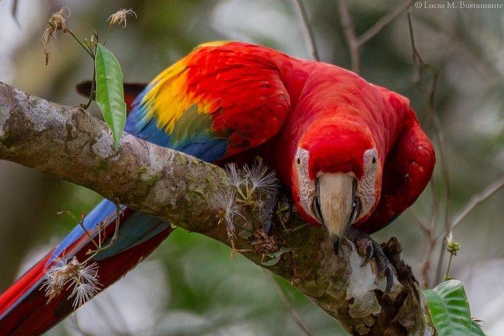 3 Tage - Posada Amazonas Classic Programm Gruppenreise