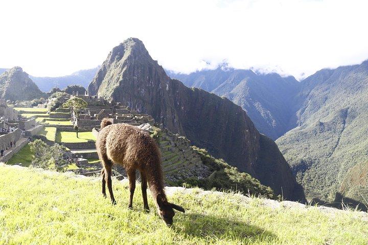 Klassisk 2-dages Inca-trail til Machu Picchu