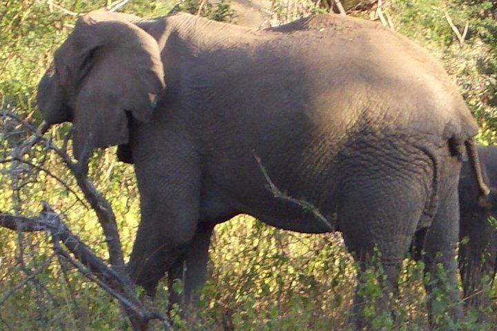 Safari di 3 notti da Nairobi: Lake Nakuru e Masai Mara
