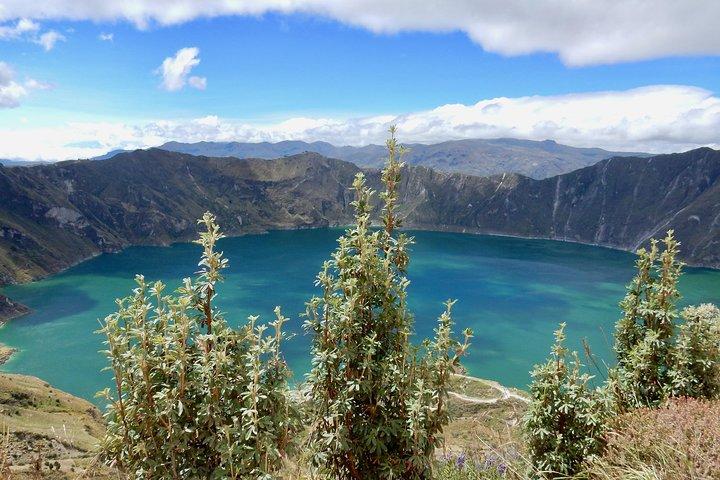15 - Day Ecuador Complete Adventure : Anderna, Amazonas och Galapagos